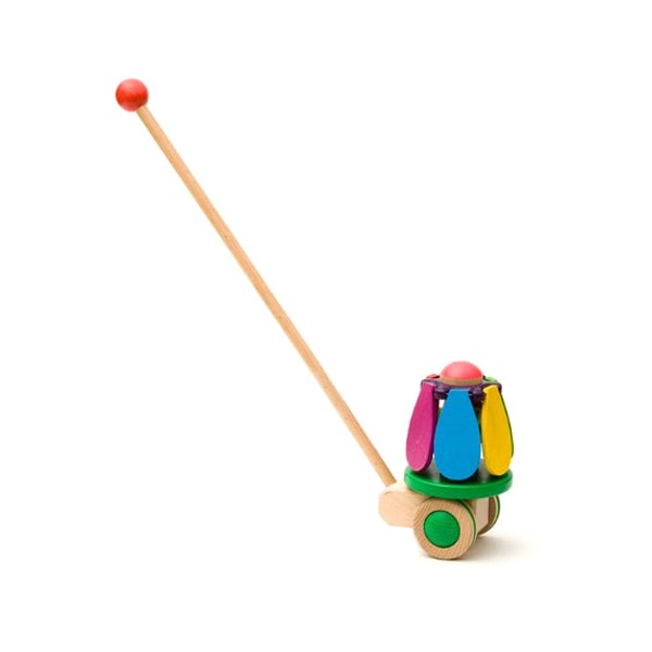 Flower Rainbow Push Toy